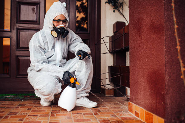 Reliable Wasp Removal contractor in Kulpmont, PA by Show Me Pest Control